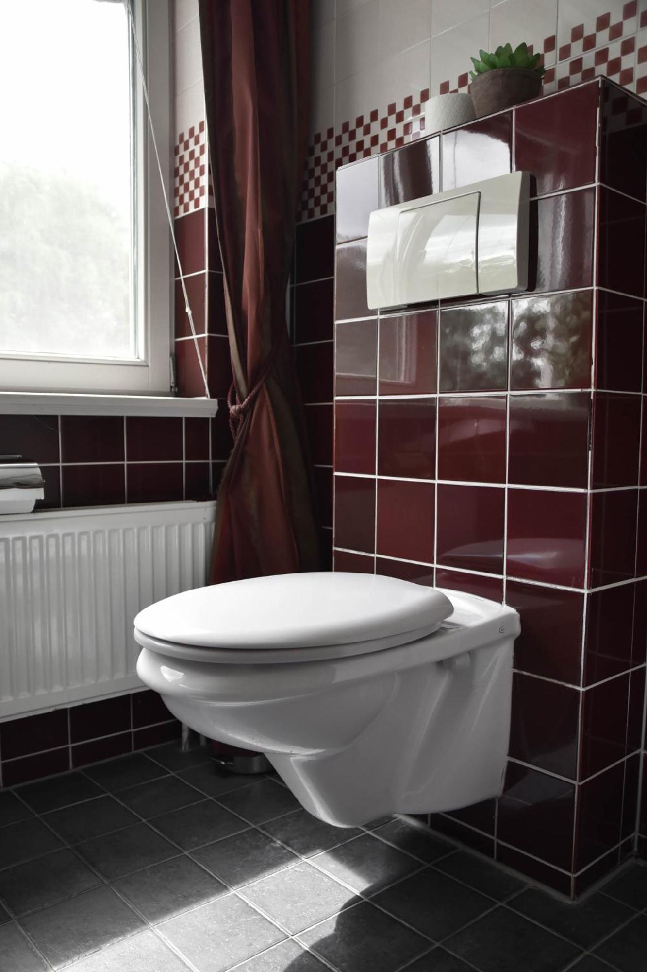 The Cosy Cottage For Comfort With Sauna And Hottub Zeewolde Kültér fotó